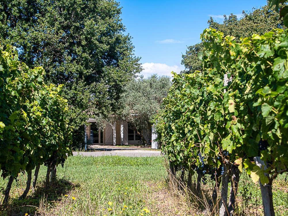 Au Detour Des Vignes Bed & Breakfast Ordonnac Exterior photo
