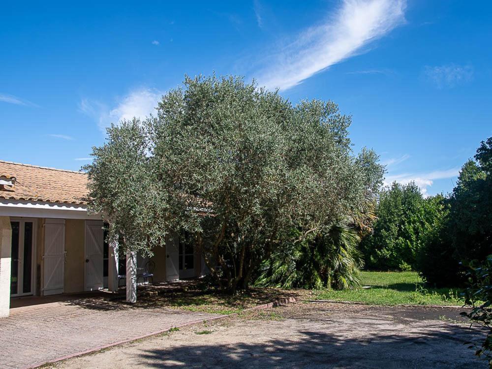 Au Detour Des Vignes Bed & Breakfast Ordonnac Exterior photo